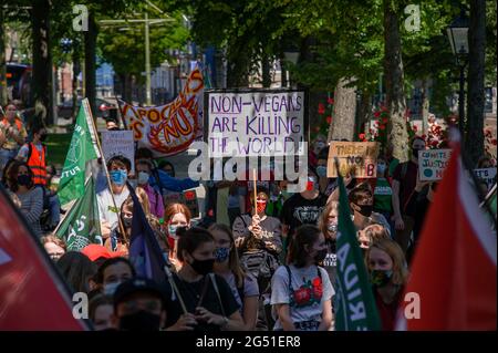 Rechtbank und Hofvijver - lange Vijverberg, Den Haag, Niederlande Donnerstag, 24. Juni 2021. Die Demonstration begann im Gerichtsgebäude, wo an diesem Tag vor sechs Jahren ein Urteil gefällt wurde, und erklärte, dass das CO2-Treibhausgas bis zum Jahr 2020 um mindestens 25 Prozent reduziert werden soll. Von einigen hundert jungen Demonstranten gingen auf die Straßen von Den Haag, um gegen den Klimawandel zu marschieren. ‘Friday for Future NL' und ‘MBO for Climate' organisierten einen ‘Klimastreik'. Ein großer Wagen mit einer symbolischen Uhr, um die Politiker daran zu erinnern, dass ihre Zeit um ist und dass ein guter Klimaplan jetzt sein muss Stockfoto