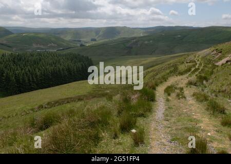 Die Hänge von Plynlivon und die Quelle des Flusses Wye in Powys, Wales. Stockfoto