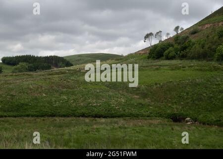 Der Fluss Wye in den Cambrian Mountains, Wales, Großbritannien Stockfoto