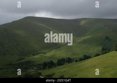The Cambrian Mountains, Powys, Wales, Großbritannien Stockfoto