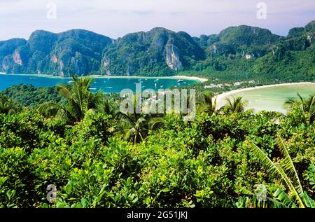 Landschaft mit Palmen und Klippen an der Küste, Ko Phi Phi Island, Thailand Stockfoto
