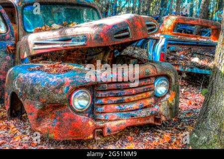 Alte verlassene rostige Autos im Wald Stockfoto