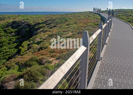 Boardwalk am Kap Vlamingh auf Rottnest Island Stockfoto