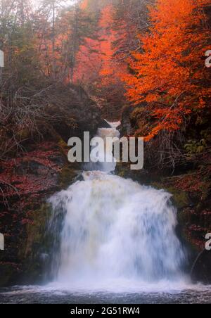 Gairloch Falls, Cape Breton. Nahaufnahme des hohen Wasserfallflusses in der Herbstsaison. Sprudelnde Wasser fallen im Herbst Waldlandschaft. Blick auf den herbstlichen Wasserfall. Stockfoto