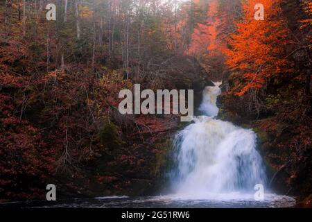 Gairloch Falls, Cape Breton. Nahaufnahme des hohen Wasserfallflusses in der Herbstsaison. Sprudelnde Wasser fallen im Herbst Waldlandschaft. Blick auf den herbstlichen Wasserfall. Stockfoto