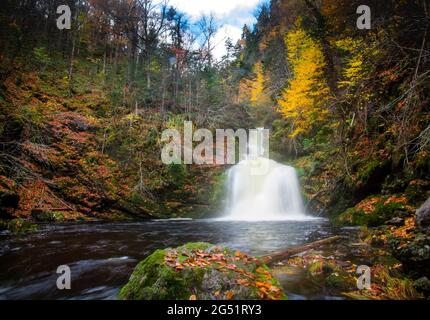 Gairloch Falls, Cape Breton. Nahaufnahme des hohen Wasserfallflusses in der Herbstsaison. Sprudelnde Wasser fallen im Herbst Waldlandschaft. Blick auf den herbstlichen Wasserfall. Stockfoto