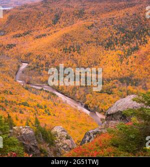 Nahaufnahme des French Mountain Valley in Cape Breton Nova Scotia im Herbst. Herbstlaub der Berge, bunte Laubbäume, Cabot Trail. Stockfoto