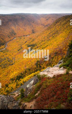 Nahaufnahme des French Mountain Valley in Cape Breton Nova Scotia im Herbst. Herbstlaub der Berge, bunte Laubbäume, Cabot Trail. Stockfoto