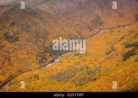 Nahaufnahme des French Mountain Valley in Cape Breton Nova Scotia im Herbst. Herbstlaub der Berge, bunte Laubbäume, Cabot Trail. Stockfoto