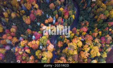 Wunderschöne Luftaufnahmen der Herbstlaub-Landschaft im Wentworth Valley, Nova Scotia. Herbstfarben von Nova Scotia, Kanada Stockfoto