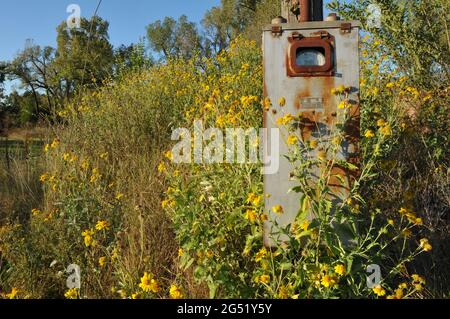 Auf einem Mast in einem Gewerbegebiet in Warwick, Oklahoma, ist eine rostende Versorgungsbox montiert. Stockfoto