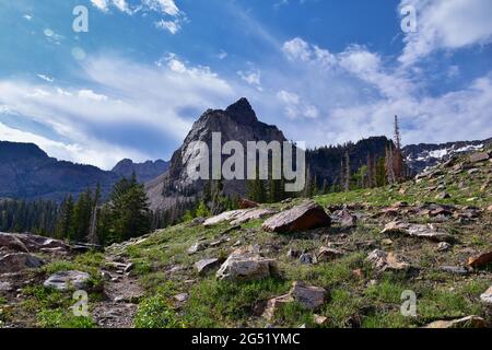 Rocky Mountains Sundial Peak am Lake Blanche Wanderweg aussichtspunkte im Sommer Wasatch Front, Big Cottonwood Canyon, Salt Lake City, Utah. United Sta Stockfoto