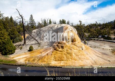 Orangefarbener Frühlingshügel, Mammoth Hot Springs im Yellowstone National Park, Wyoming, horizontal Stockfoto