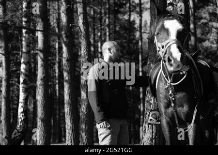 Junger Mann, der in der Nähe von Pferd steht und sich auf ein braunes Pferd vorbereitet, das über das Feld schlendert Stockfoto