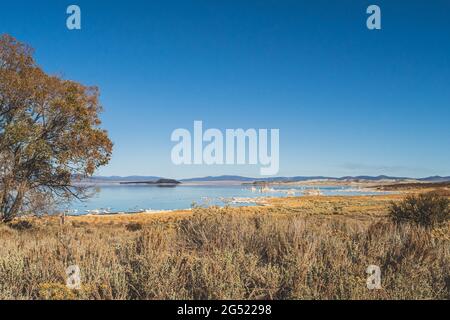 Mono Lake, Kalifornien im Herbst an sonnigen Tagen mit klarem blauen Himmel und Tuffstein Stockfoto