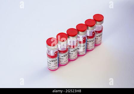 Tierrabbineimpfstoff Biocan R von Bioveta ist auf weiß. Sechs neue Ampullen mit rosa Medizin im Inneren. Tollwut-Prophylaxe. Veterinärmedizin. Inskript Stockfoto
