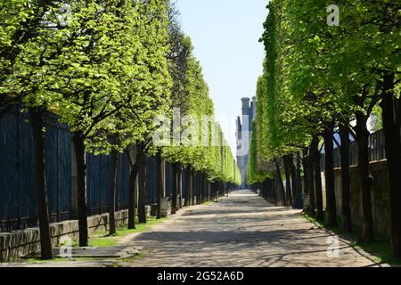 ILE DE FRANCE. PARIS (8 A). BLICK AUF EIN LEERES PARIS AUFGRUND DER GEFANGENSCHAFT UNTER VIRUS COVID 19. HIER DER JARDIN DES TUILERIES. Stockfoto