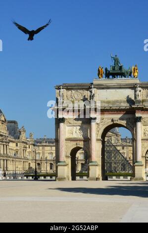 FRANKREICH. PARIS (1.). SCHWARZE KRÄHE, DIE IN DER NÄHE DER TRIUMPHBOGEN DES CARROUSEL OF LOUVRE FLIEGT. Stockfoto