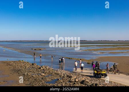 FRANKREICH. VENDEE (85), NOIRMOUTIER ISLAND, DIE GOIS-PASSAGE Stockfoto