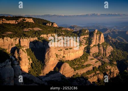 Turó de les Nou Cabres und die Pyrenäen im Hintergrund, vom Gipfel La Mola aus gesehen (Barcelona, Katalonien, Spanien) Stockfoto