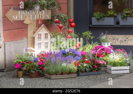 Breslau, Polen - 21. Juni 2019: Häuser und Blumen Laden Dekoration Wand in Breslau, Polen Stockfoto