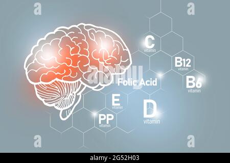 Essentielle Nährstoffe für die Gesundheit des Gehirns, einschließlich Vitamin C, Vitamin B, Folsäure, Vitamin PP. Design-Set der wichtigsten menschlichen Organe mit Vitaminen Stockfoto