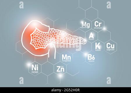 Essentielle Nährstoffe für die Gesundheit der Bauchspeicheldrüse, einschließlich Nickel, Chrom, Cuprum, Mangan. Design-Set von menschlichen Organen auf hellgrauem Hintergrund. Stockfoto