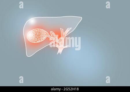 Handgezeichnete Illustration der menschlichen Gallenblase auf hellgrauem Hintergrund. Medizin, Wissenschaftsset mit menschlichen Hauptorganen mit leerem Kopierraum für Text Stockfoto