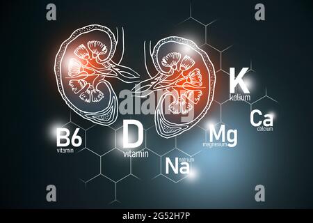 Essentielle Nährstoffe für die Gesundheit der Nieren einschließlich Natrium, Magnesium, Vitamin B6, Kalzium. Design-Set der wichtigsten menschlichen Organe mit Vitaminen Stockfoto