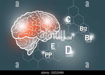 Essentielle Nährstoffe für die Gesundheit des Gehirns, einschließlich Vitamin C, Vitamin B, Folsäure, Vitamin PP. Design-Set der wichtigsten menschlichen Organe mit Vitaminen Stockfoto