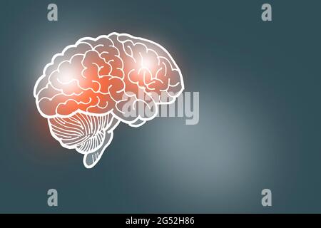 Von Hand gezeichnete Illustration des menschlichen Gehirns auf dunkelgrauem Hintergrund. Medizin, Wissenschaftsset mit menschlichen Hauptorganen mit leerem Kopierraum für Text Stockfoto