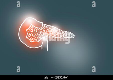 Von Hand gezeichnete Darstellung der menschlichen Bauchspeicheldrüse auf dunkelgrauem Hintergrund. Medizin, Wissenschaftsset mit menschlichen Hauptorganen mit leerem Kopierraum für Text Stockfoto