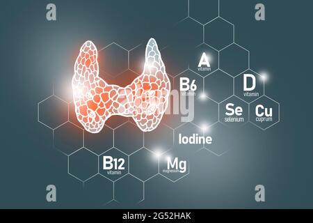 Essentielle Nährstoffe für die Gesundheit der Schilddrüse, darunter Jod, Selenuim, Vitamin B6, Cuprum auf dunkelgrauem Hintergrund Stockfoto