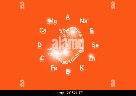 Stilisiertes Ziffernblatt mit lebenswichtigen Vitaminen und Mikroelementen für die menschliche Gesundheit, handgezogener Bauch, roter Hintergrund. Stockfoto