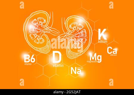 Essentielle Nährstoffe für die Gesundheit der Nieren einschließlich Natrium, Magnesium, Vitamin B6, Kalzium. Design-Set der wichtigsten menschlichen Organe mit Vitaminen Stockfoto