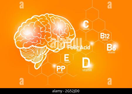 Essentielle Nährstoffe für die Gesundheit des Gehirns, einschließlich Vitamin C, Vitamin B, Folsäure, Vitamin PP. Design-Set der wichtigsten menschlichen Organe mit Vitaminen Stockfoto