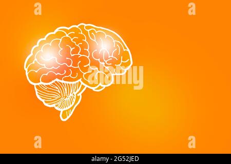 Von Hand gezeichnete Illustration des menschlichen Gehirns auf grauem Hintergrund. Medizin, Wissenschaftsset mit menschlichen Hauptorganen mit leerem Kopierraum für Text oder Infografik. Stockfoto