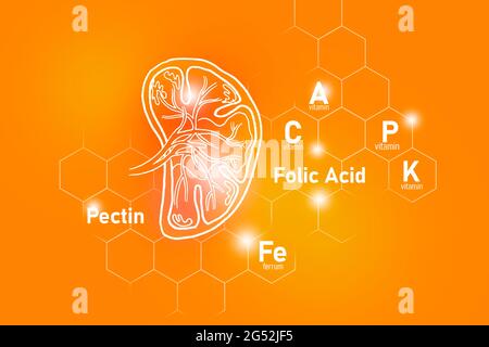 Essentielle Nährstoffe für die Milzgesundheit, einschließlich Pektin, Folsäure, Vitamin P, Ferrum.Design-Set der wichtigsten menschlichen Organe auf positivem orangenen Hintergrund. Stockfoto