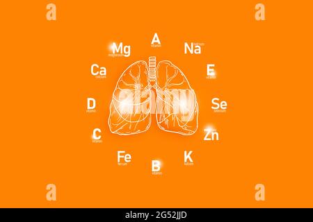 Stilisiertes Ziffernblatt mit lebenswichtigen Vitaminen und Mikroelementen für die menschliche Gesundheit, handgezeichnete Lungen, orangefarbener Hintergrund. Stockfoto