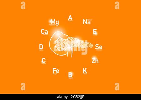 Stilisiertes Ziffernblatt mit lebenswichtigen Vitaminen und Mikroelementen für die menschliche Gesundheit, handgezeichneter Bauchspeicheldrüse, orangefarbener Hintergrund. Stockfoto