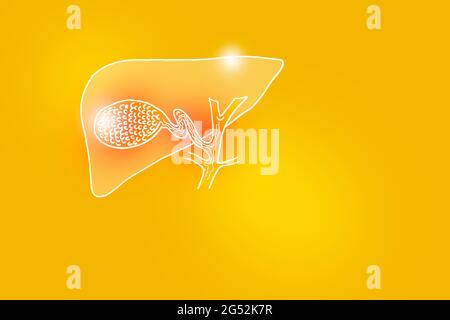 Handgezeichnete Illustration der menschlichen Gallenblase auf gelbem Hintergrund. Medizin, Wissenschaftsset mit menschlichen Hauptorganen mit leerem Kopierraum für Text Stockfoto