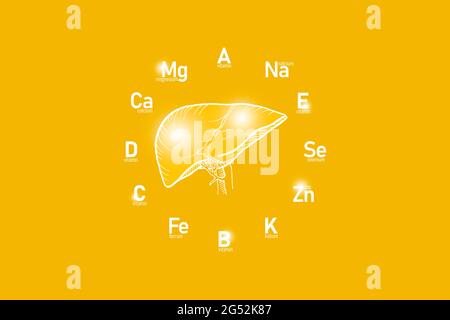 Stilisiertes Zifferblatt mit lebenswichtigen Vitaminen und Mikroelementen für die menschliche Gesundheit, handgezeichnete Leber, gelber Hintergrund. Stockfoto