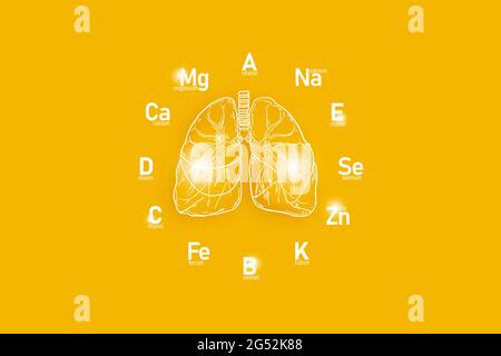 Stilisiertes Zifferblatt mit lebenswichtigen Vitaminen und Mikroelementen für die menschliche Gesundheit, handgezeichnete Lungen, gelber Hintergrund. Stockfoto