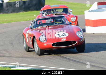 Klassischer Ferrari 250 GT Drogo Berlinetta Rennwagen beim Goodwood Revival 2011, Großbritannien. Gefahren von Bartels und Hart in der RAC Tourist Trophy Stockfoto