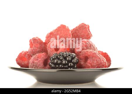 Eine reife, frische Bio-Brombeere, im Fokus und rote Himbeeren auf einer schwarzen Keramikuntertasse, aus nächster Nähe, isoliert auf Weiß. Stockfoto