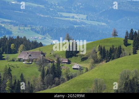 Klassischer Emmentaler Bauernhof in den Hügeln an einem Frühlingstag Stockfoto