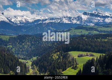 Klassischer Emmentaler Bauernhof in den Hügeln an einem Frühlingstag vor den Berner Alpen Stockfoto