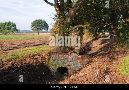 Alte Ziegel- und Feuerstein-Brücke über den Abflussgraben. Küstenebene. Stockfoto