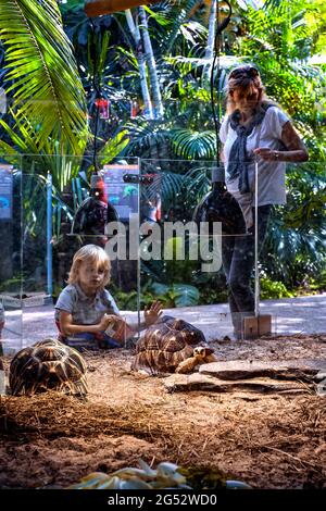 FRANKREICH. VAL DE MARNE (94) VINCENNES. ZOOLOGISCHER PARK VON PARIS. SCHILDKRÖTEN Stockfoto