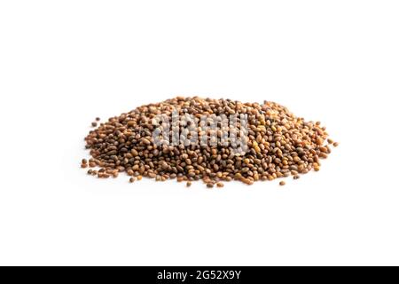 Haufen wilder Rakete Samen isoliert auf weiß bereit zu Pflanzen Stockfoto